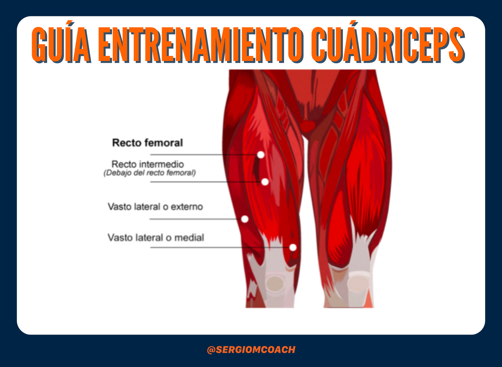 GUIA de ENTRENAMIENTO para tus CUÁDRICEPS