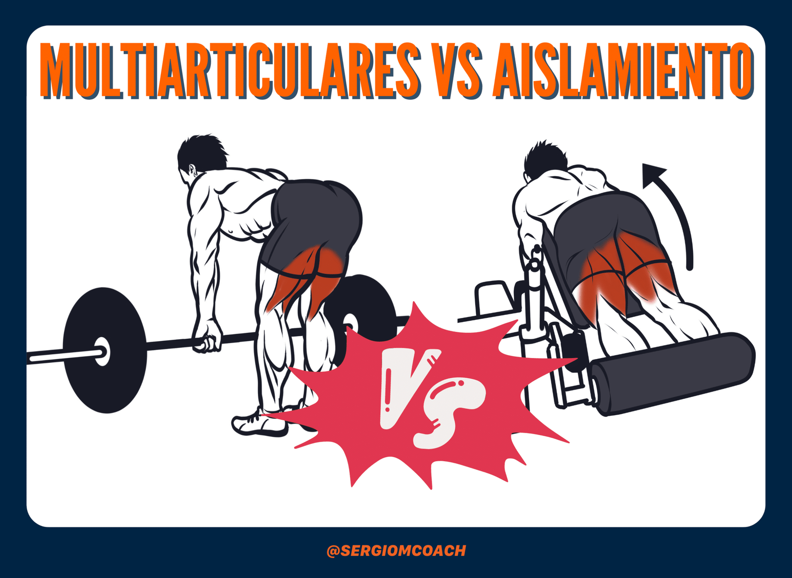 Multiarticulares vs aislamiento
