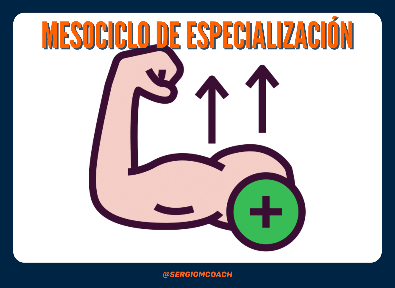 mesociclo de especializacion