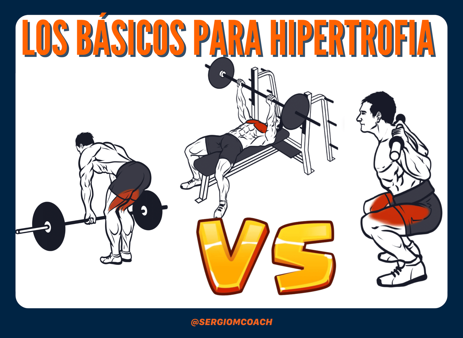 Los básicos para hipertrofia