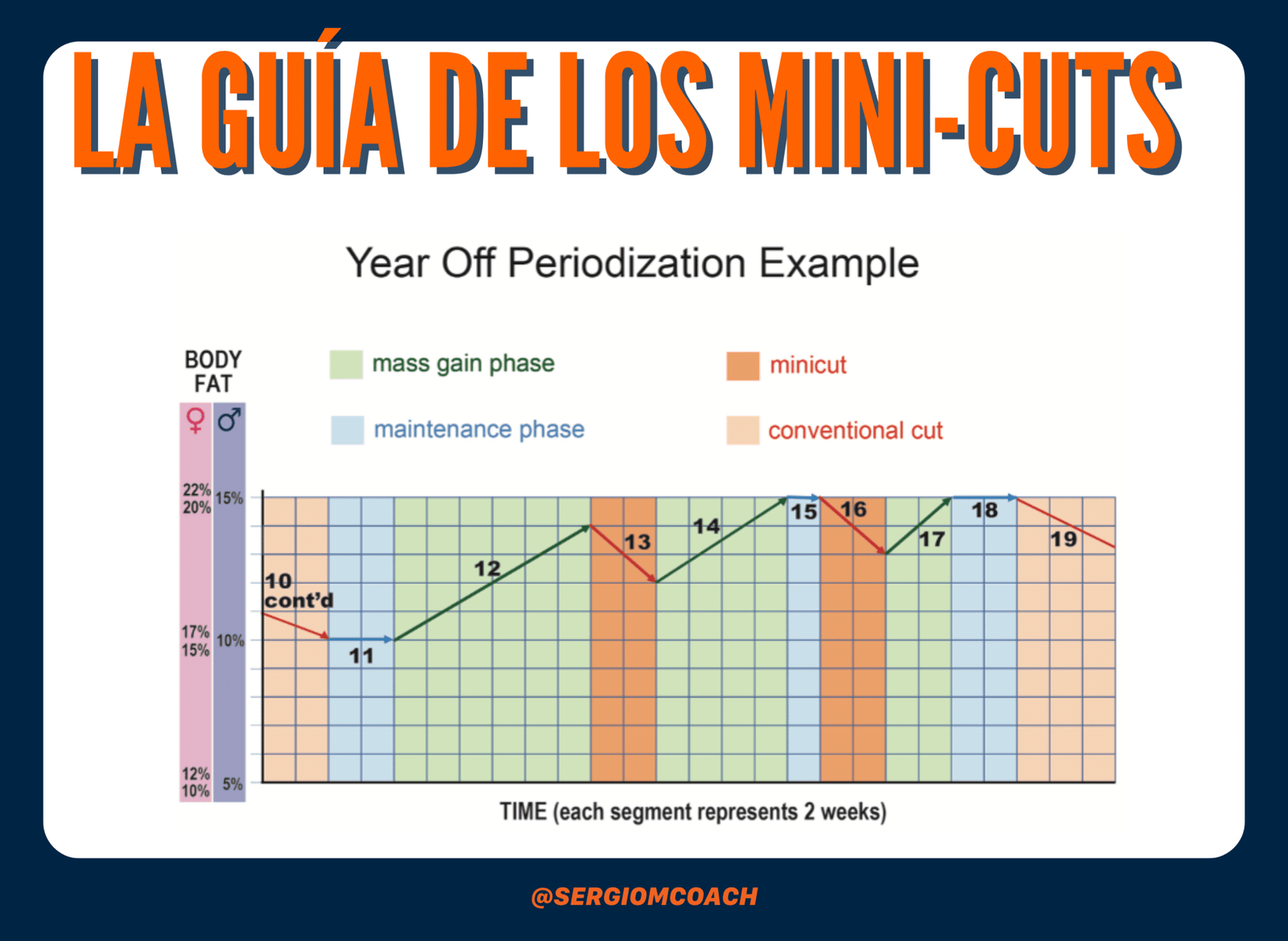 Guía de los MINI-CUTS ¿Cómo hacerlos?