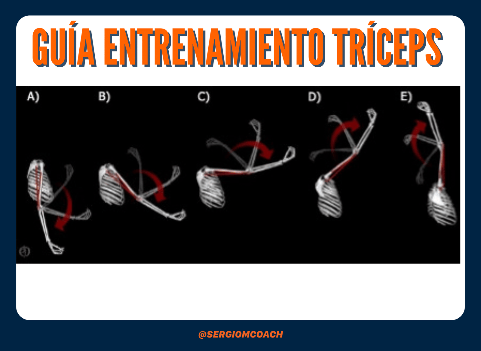 TODO SOBRE EL ENTRENAMIENTO DE TRÍCEPS