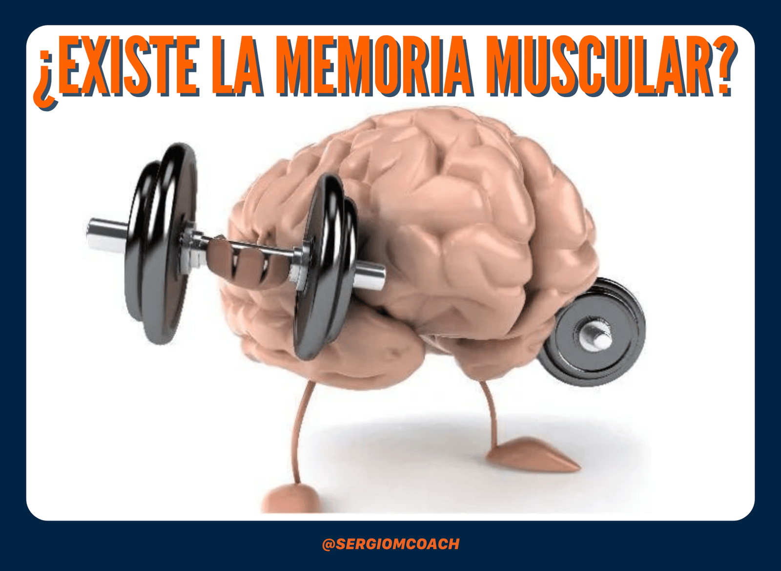 Existe la memoria muscular